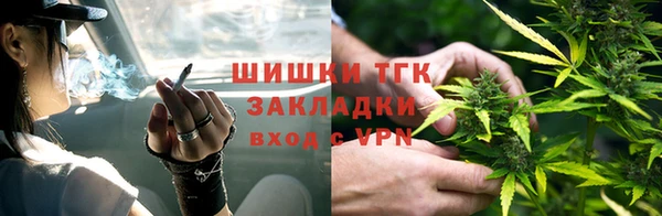 индика Абаза