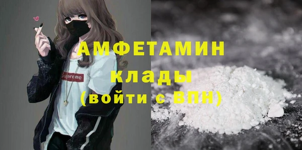 индика Абаза