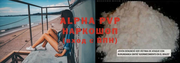 индика Абаза