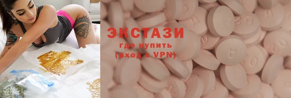индика Абаза