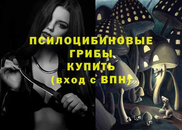 индика Абаза