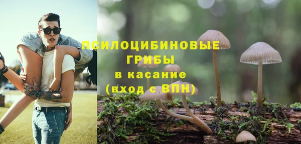 прущая мука Киреевск