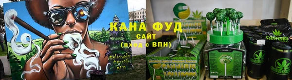 индика Абаза
